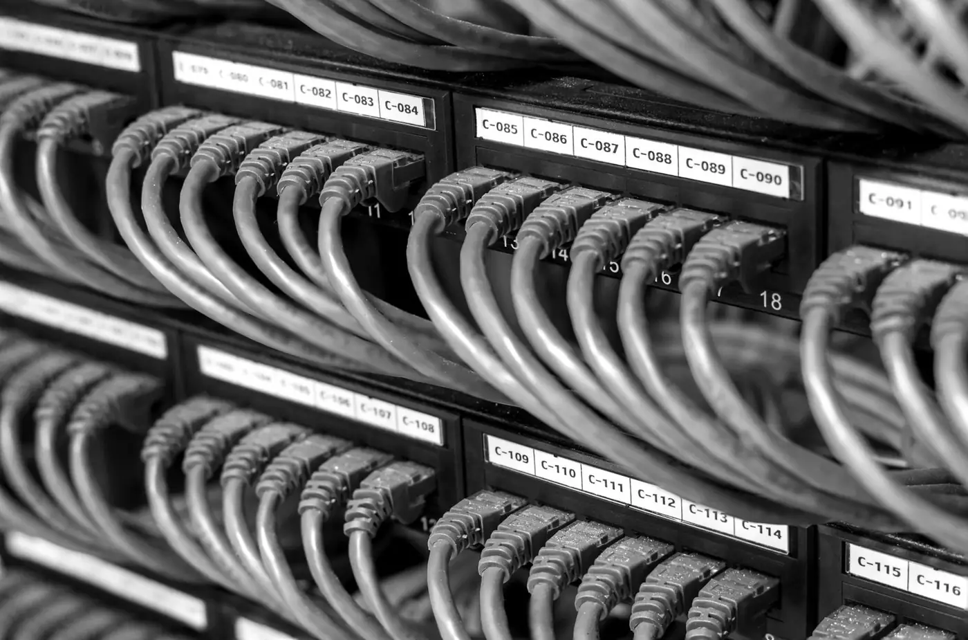Network cables patched into a switch