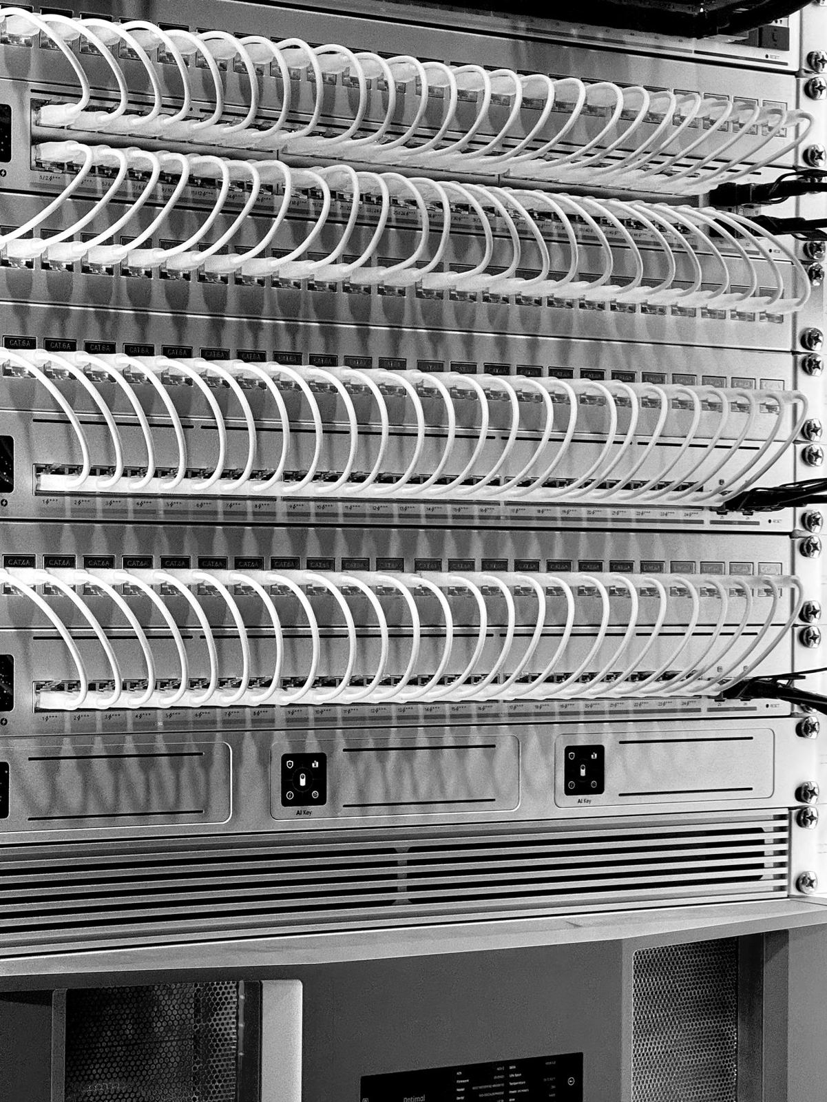 Neatly patched network switches in a rack